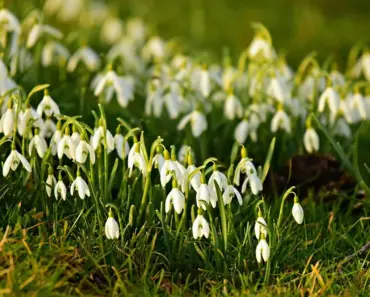 What is Europe Like in February