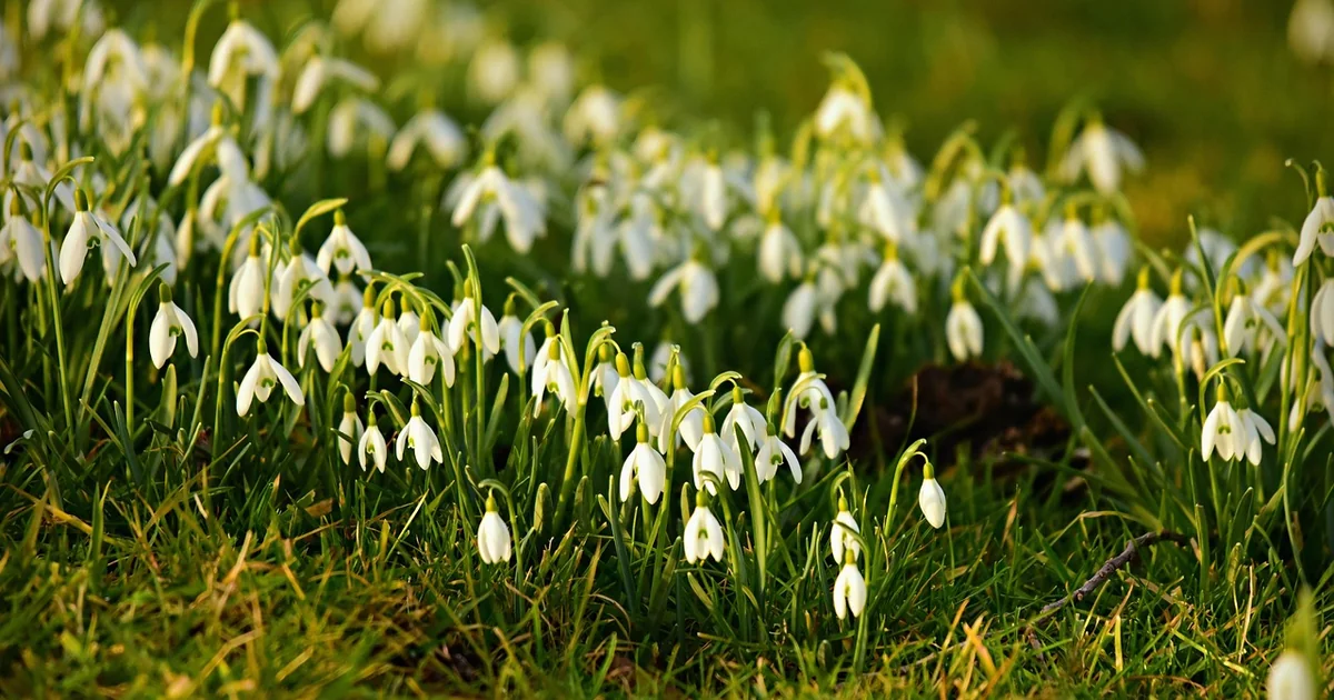 What is Europe Like in February europe february