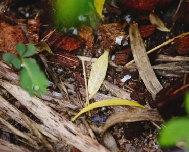 Should Compost Bins Be Airtight