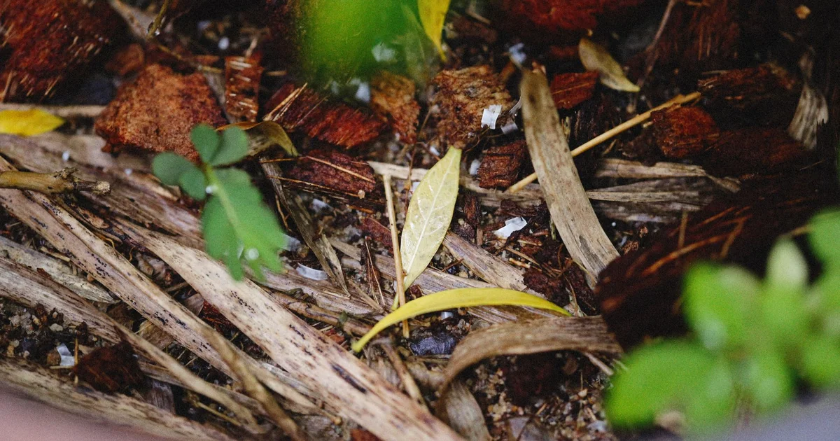 Should Compost Bins Be Airtight organic garden compost bin
