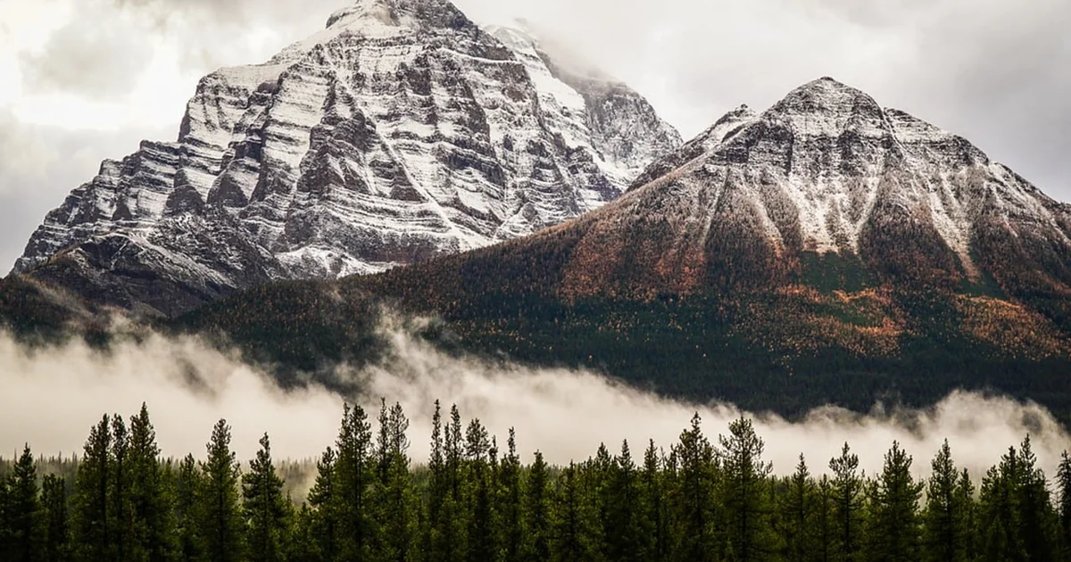 How Do I Find a Canadian Resident Address find canadian