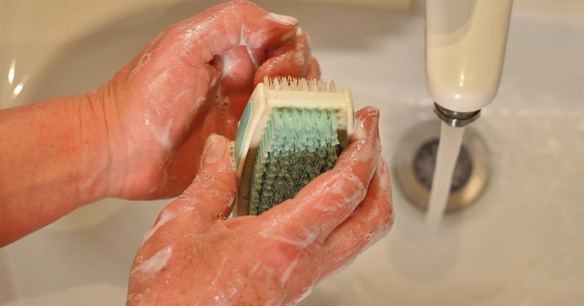 Should You Brush Your Pool Daily brush pool
