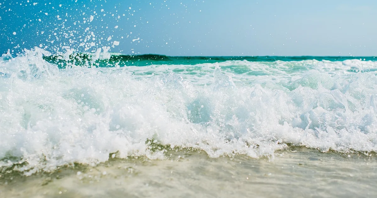 Do You Wet Sand or Dry Sand Before Painting wet sand