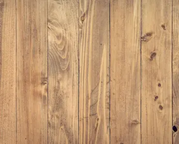 What Kills Wood Fungus