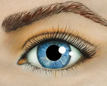 How Big Should the Iris Be in a Drawing
