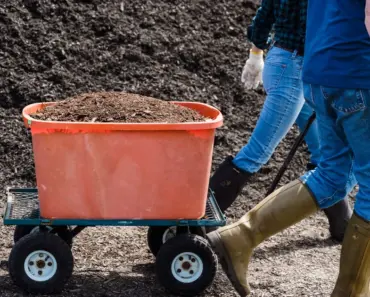 What is a Natural Activator for Compost