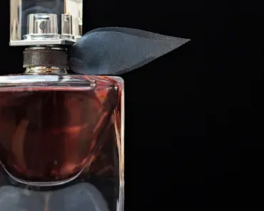 How Does Zara Perfume Smell