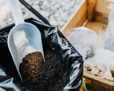 What Do You Put in a Compost Bucket in the Kitchen