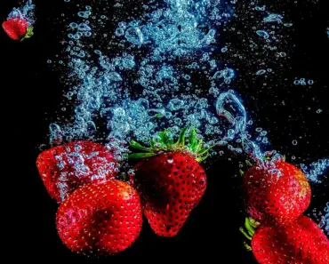 What Foods Freeze Dry Best