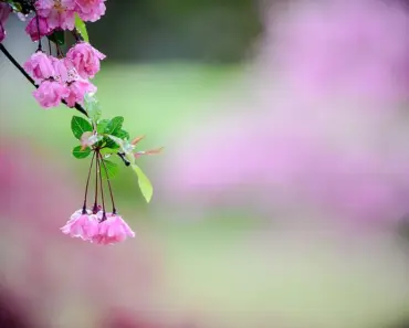 Is Spring a Rainy Season