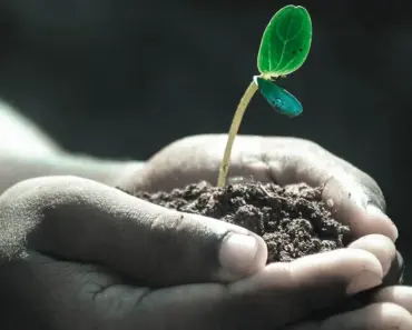 What is the Best Compost Recipe for Vegetable Garden