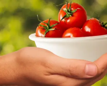 How Many Calories Should I Eat to Lose 20 Pounds in a Month