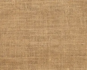 How Long Does Scotchgard Last on Fabric