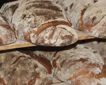 Whats Healthier Rice or Bread