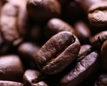 Why Did Muslims Drink Coffee