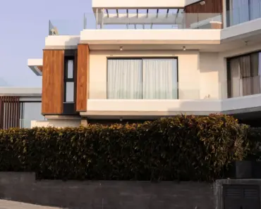 Why Does Everyone Want to Be in Real Estate