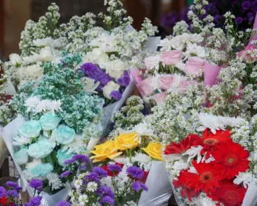 What Do You Stick Dried Flowers Into What Do You Stick Dried Flowers Into