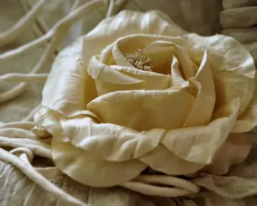 Does Corsage Color Matter