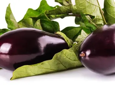 How to Store Fairy Tale Eggplant