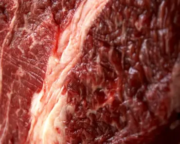 Is Venison Closer to Beef or Pork