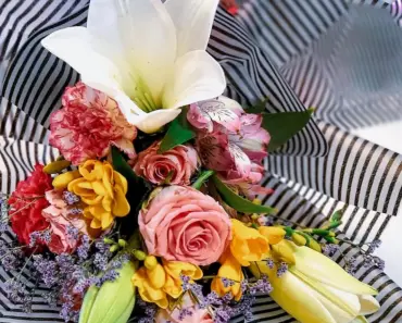 How Flowers Describe Your Personality