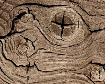 What is a Flat Wood Drill Bit Used for