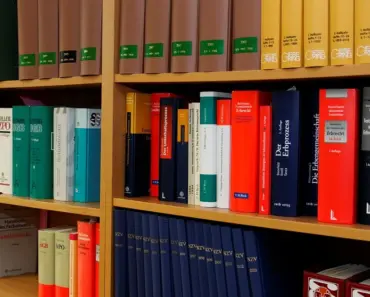 What Are Sureties in Law