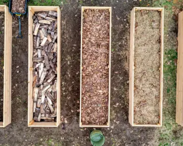 Will Grass Grow in Compost