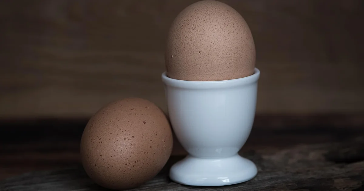 Do I Need to Rinse Eggshells Before Composting rinse eggshells