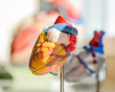 How Quickly Does Cardio Improve Heart Health