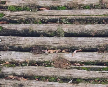 Why Buy a Wood Lathe