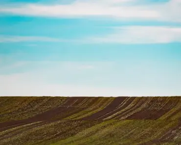Can You Buy Land in Metaverse