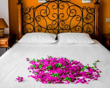 How Many Rooms Are at Villa Premiere Boutique Hotel