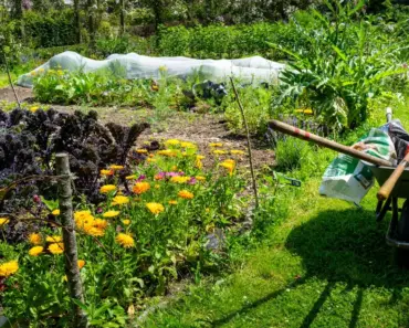 Does Hot Weather Help Compost