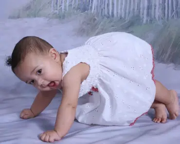 What Do Baby Koalas Smell Like