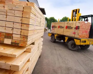 Which Cutting Tool is Used to Cut Board and Plywood