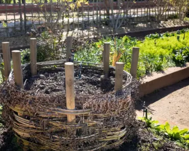 How Long Does it Take for Compost to Improve Soil