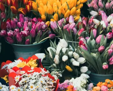 Where Does Trader Joes Get Their Flowers From