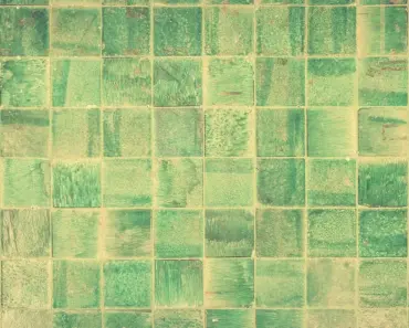 Can Tiles Be Put on Wood