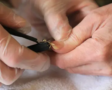 Should Fingernails Be Cut Wet or Dry
