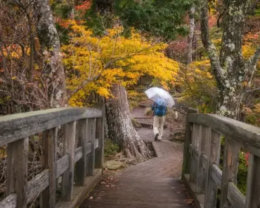 Do Both Spouses Need an Umbrella Policy