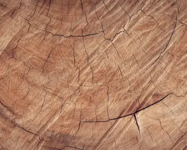 Did Vikings Use Wood