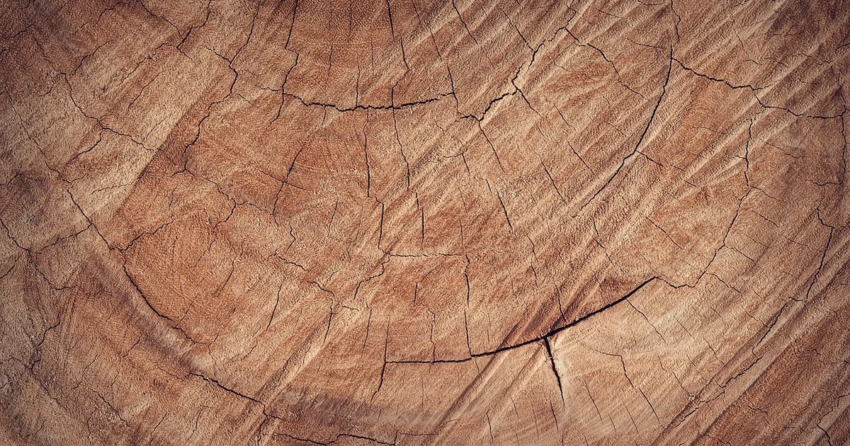 Did Vikings Use Wood natural hardwood timber texture