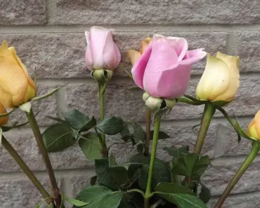 How Do You Make Fake Flowers Look More Realistic