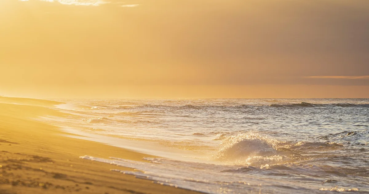 Which City is Called the Beach City of Kerala tropical sandy beach turquoise water