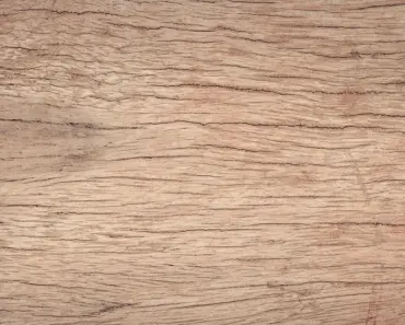 Which is Better Wood Burning or Propane