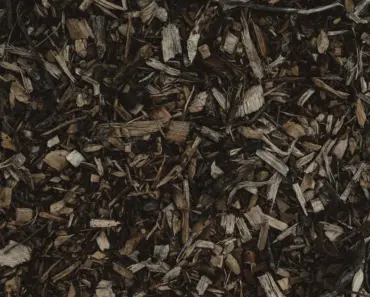 What Happens If You Compost the Wrong Things