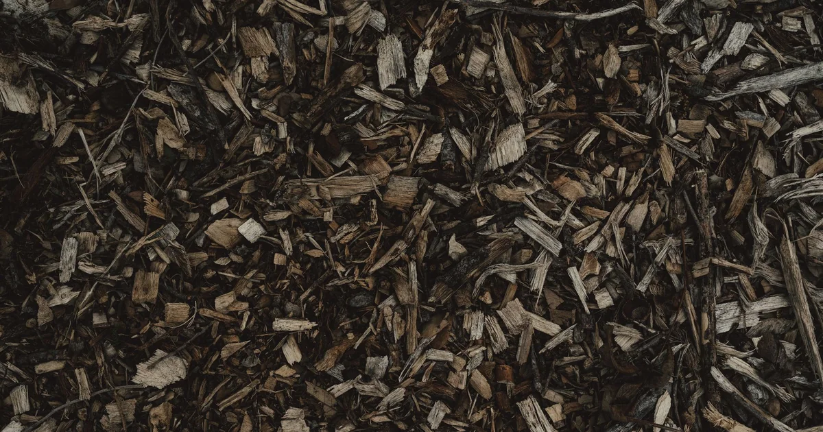 What Happens If You Compost the Wrong Things organic garden compost bin