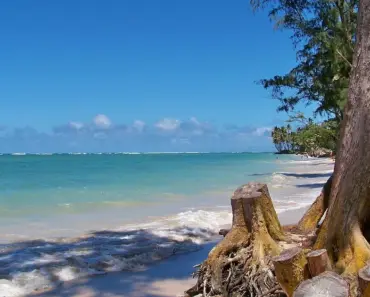 Is Silver Sands Beach Nice