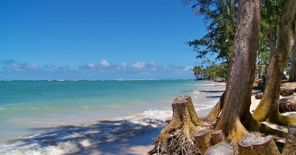 Is Silver Sands Beach Nice tropical sandy beach turquoise water